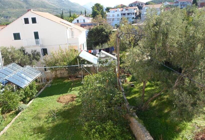 هتل Pansion Lovac