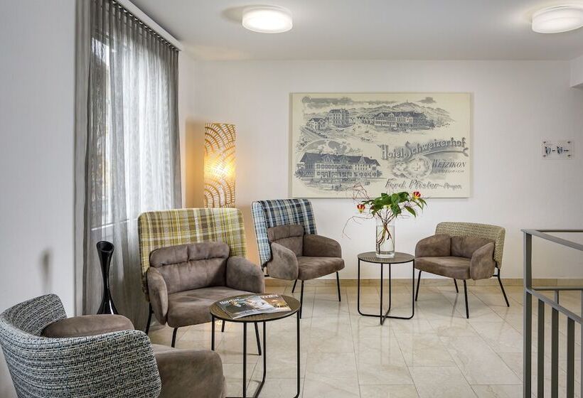 فندق Schweizerhof