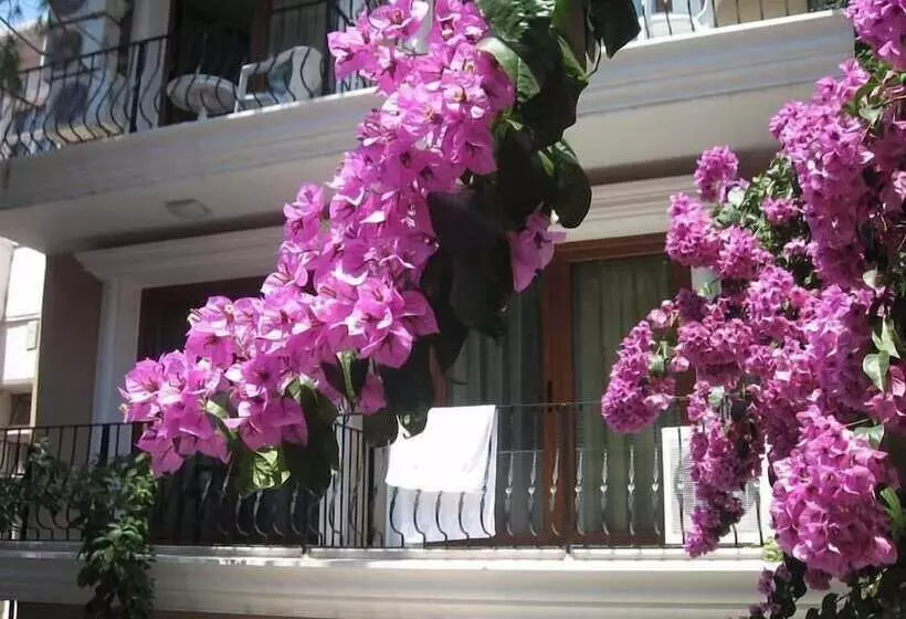 ホテル Kumsal Butik