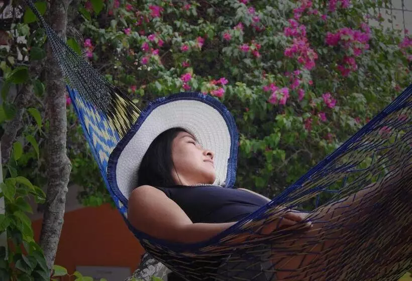 Hotelli Don Luis Hostal   Sucursal Galeana   Tecolutla