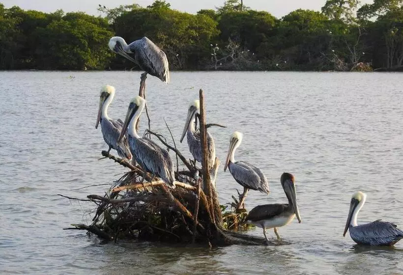 Hotelli Don Luis Hostal   Sucursal Galeana   Tecolutla