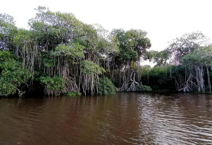 Hotelli Don Luis Hostal   Sucursal Galeana   Tecolutla