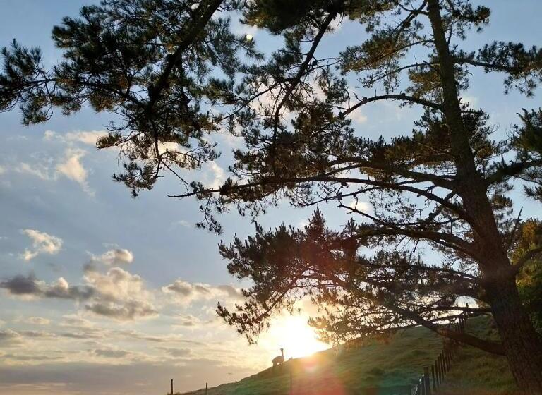 Отель Waihi Gold Alpacas 1 Or 2 People