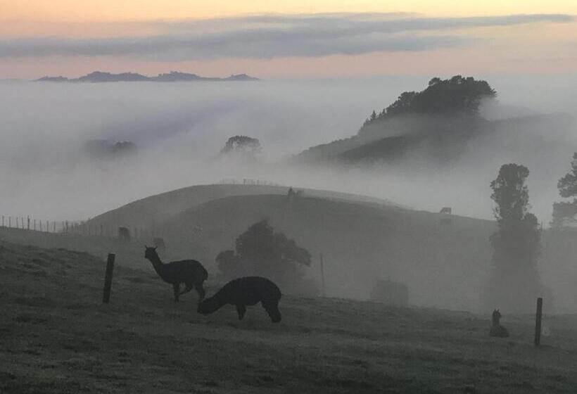 Отель Waihi Gold Alpacas 1 Or 2 People