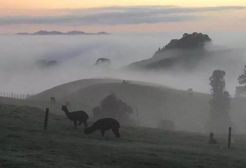 ホテル Waihi Gold Alpacas 1 Or 2 People
