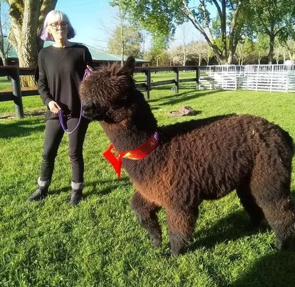 ホテル Waihi Gold Alpacas 1 Or 2 People