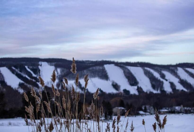 モーテル 2br Boutique Suite #8