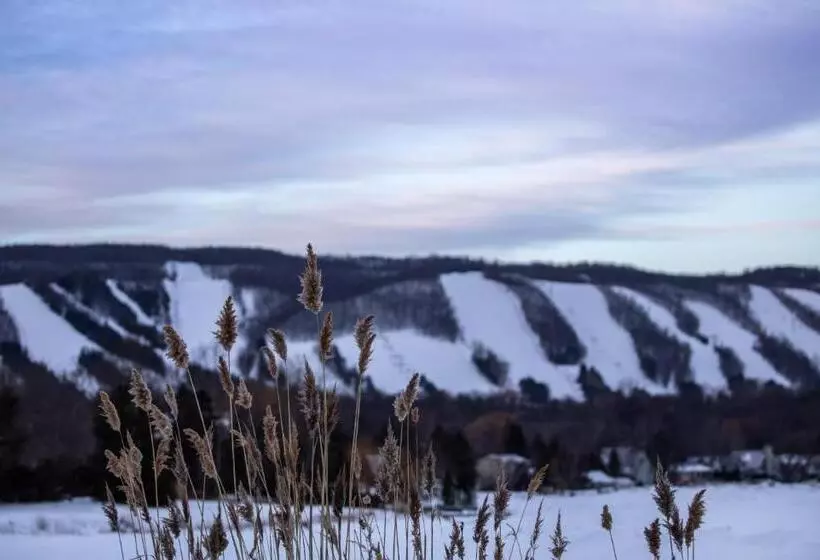 Motelli 2br Boutique Suite #8