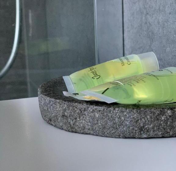 تختخواب و صبحانه Villa Monique