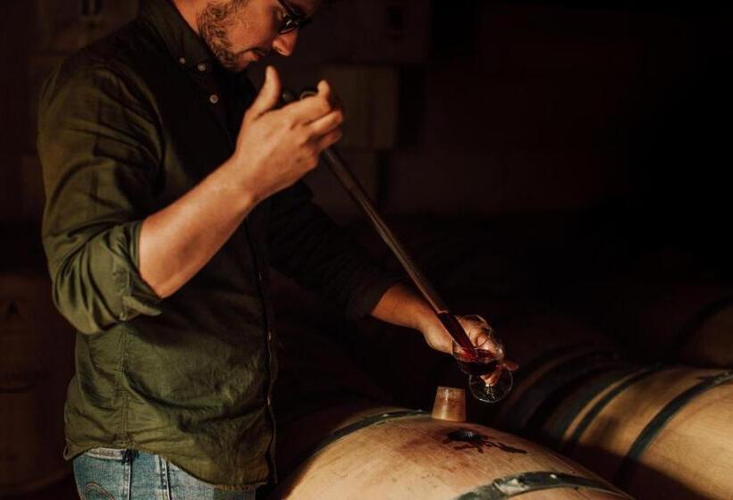 פנסיון Chambres D Hôte & Gîte Château Le Conte   Saint Emilion