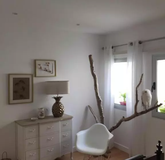 ベッドアンドブレックファースト Casa Physalis