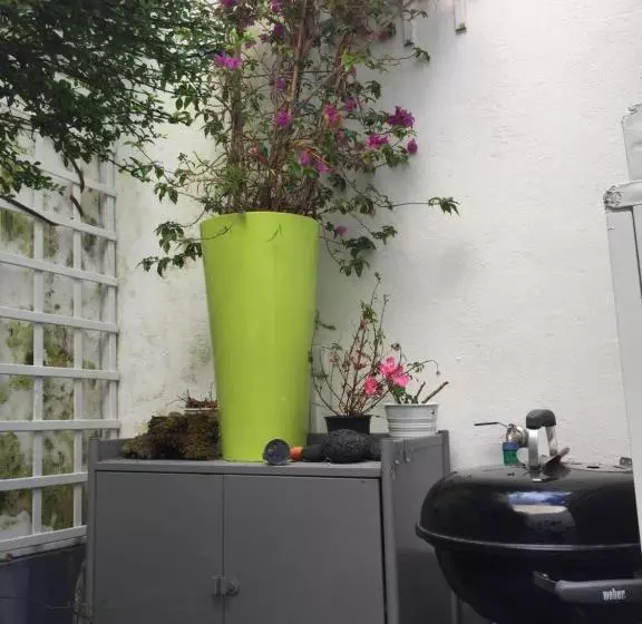 ベッドアンドブレックファースト Casa Physalis