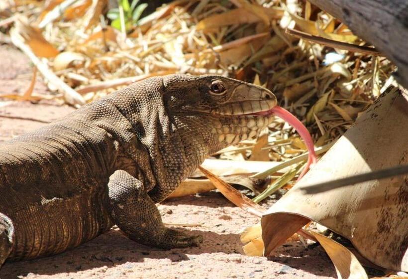 Hotel Di Roma Rio Quente, Go Flat