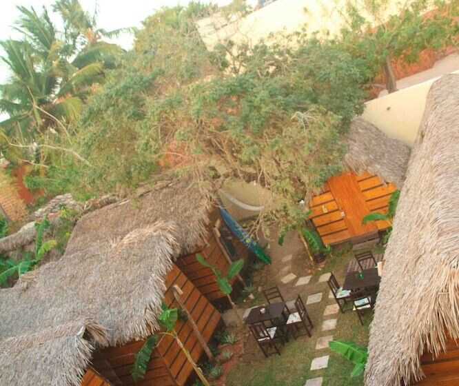 Hotel Raiz Kite Cabana