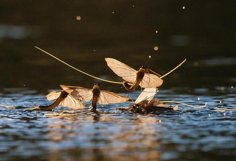 펜션 örvény Vendégház