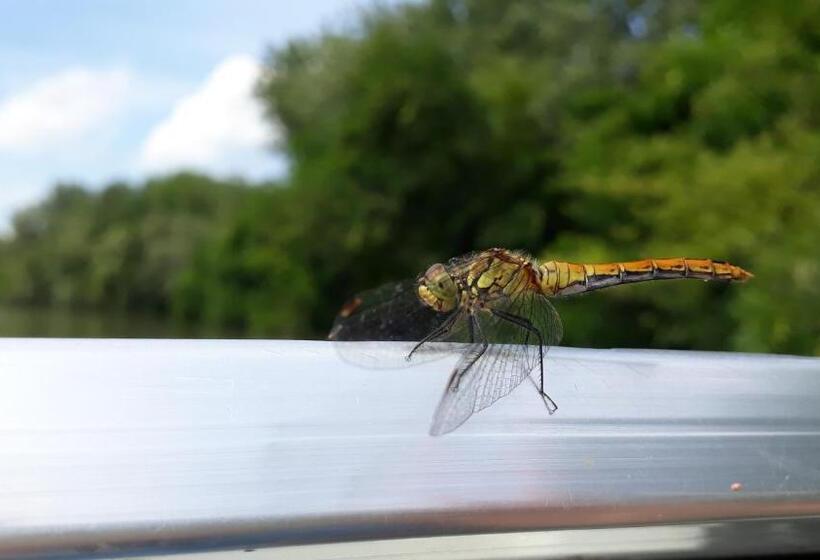 펜션 örvény Vendégház