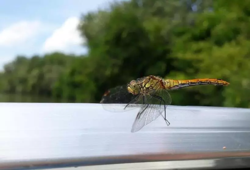 Majatalo örvény Vendégház