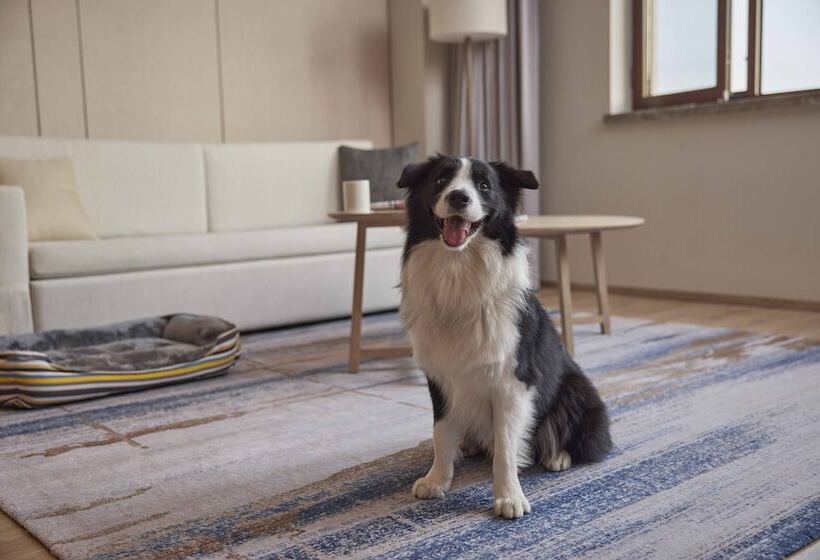 Hotel Element Beijing Yanqing