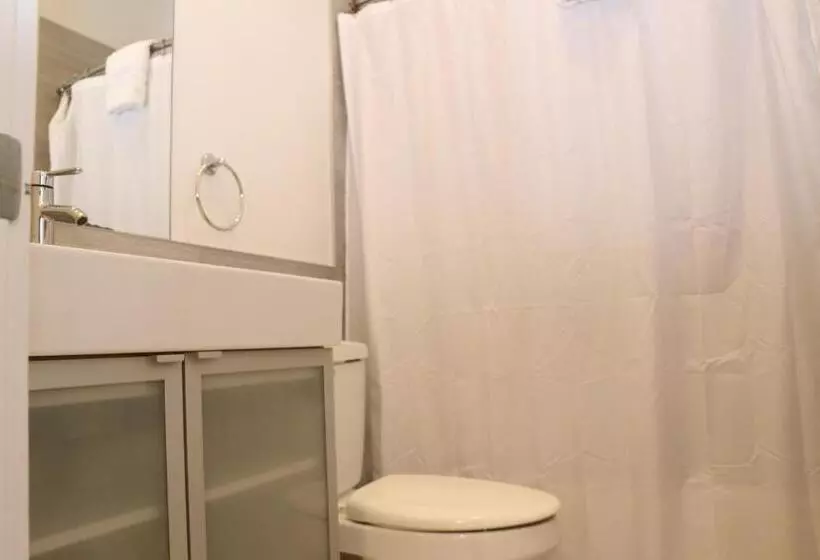 Downtown Beacon Hill, Convenient, Comfy Studio #1