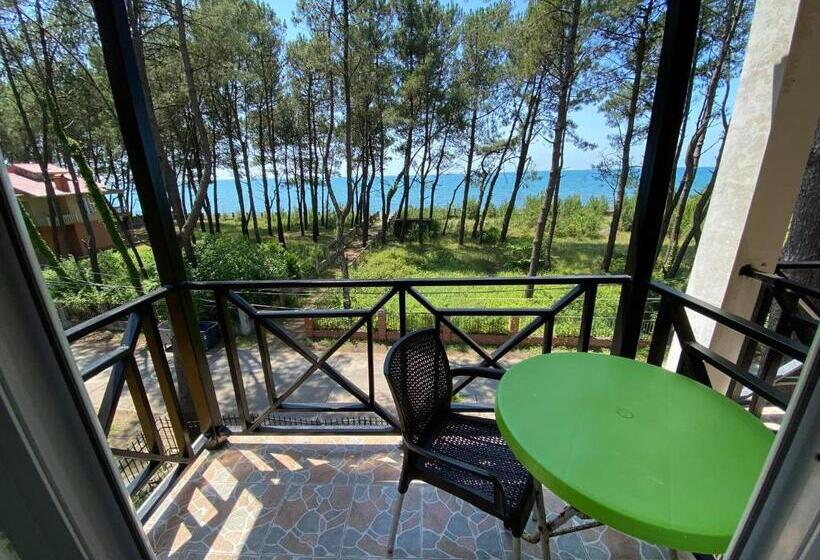 هتل Bajo Shekvetili