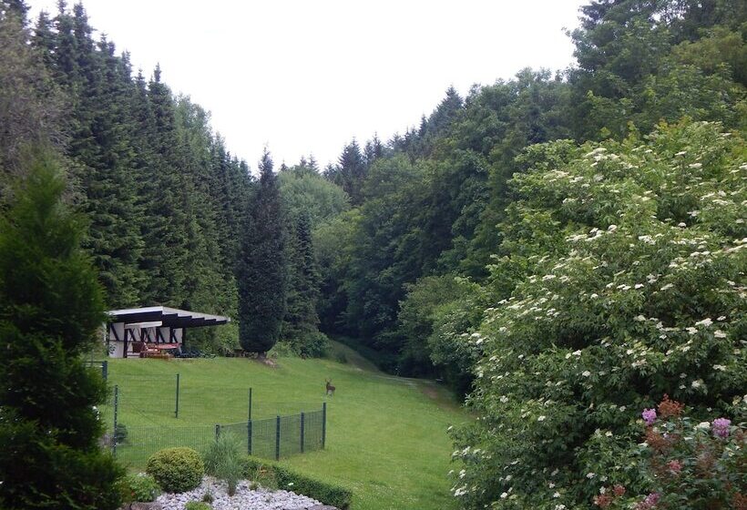 & Gasthof Hubertushöhe Ihr Hotel Für Urlaub Mit Hund