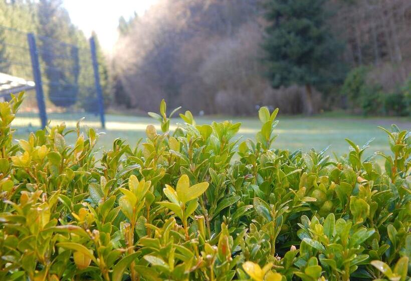 & Gasthof Hubertushöhe Ihr Hotel Für Urlaub Mit Hund