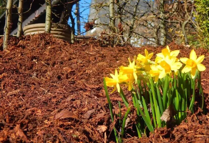 & Gasthof Hubertushöhe Ihr Hotel Für Urlaub Mit Hund