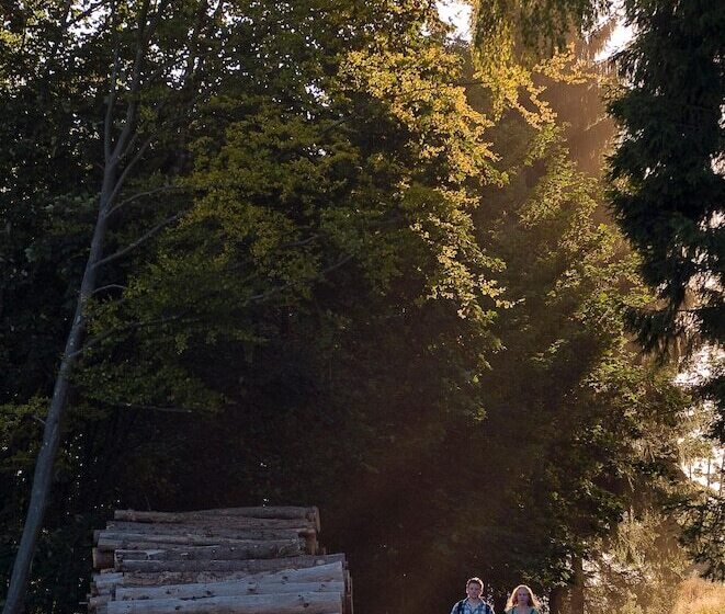 & Gasthof Hubertushöhe Ihr Hotel Für Urlaub Mit Hund