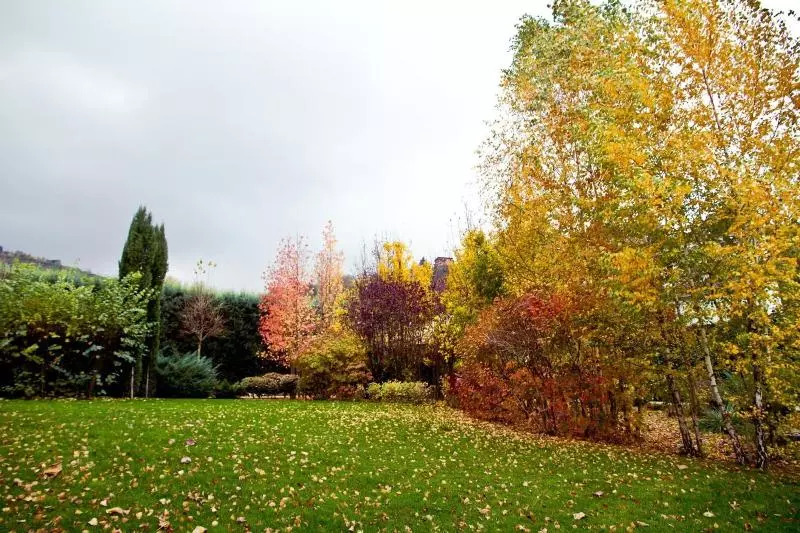 酒店 Albergo La Primula