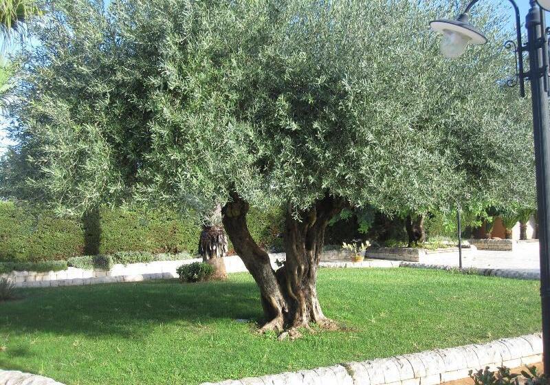 فندق Continental