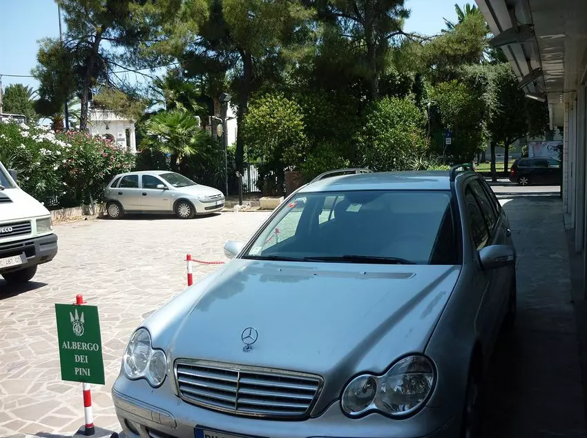 هتل Albergo Dei Pini