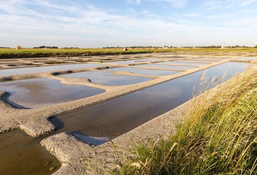 בית מלון כפרי Domaine Le Martinet, The Originals Relais