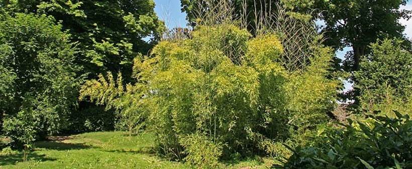 בית מלון כפרי Domaine Le Martinet, The Originals Relais