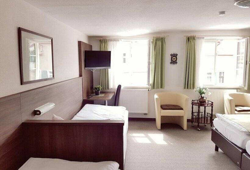 Hotelli Garni Goldene Traube