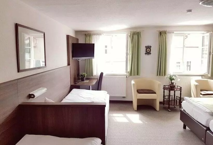 Отель Garni Goldene Traube