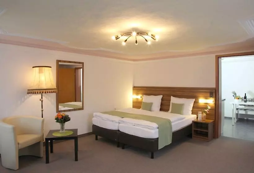 Отель Garni Goldene Traube