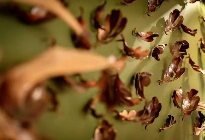 Отель Hôtel La Sivolière