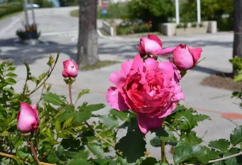 酒店 Paradise Vacanze