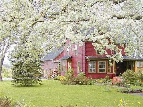 ホテル The Dragonfly Inn