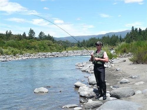 Отель Turangi Trout Lodge