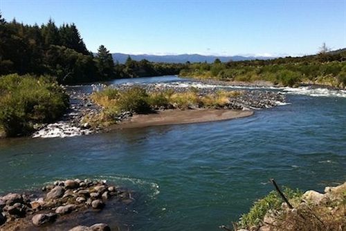 Отель Turangi Trout Lodge