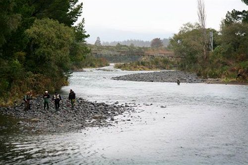 Отель Turangi Trout Lodge