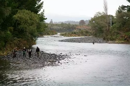 酒店 Turangi Trout Lodge