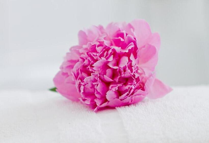 호텔 Zum Goldenen Löwen