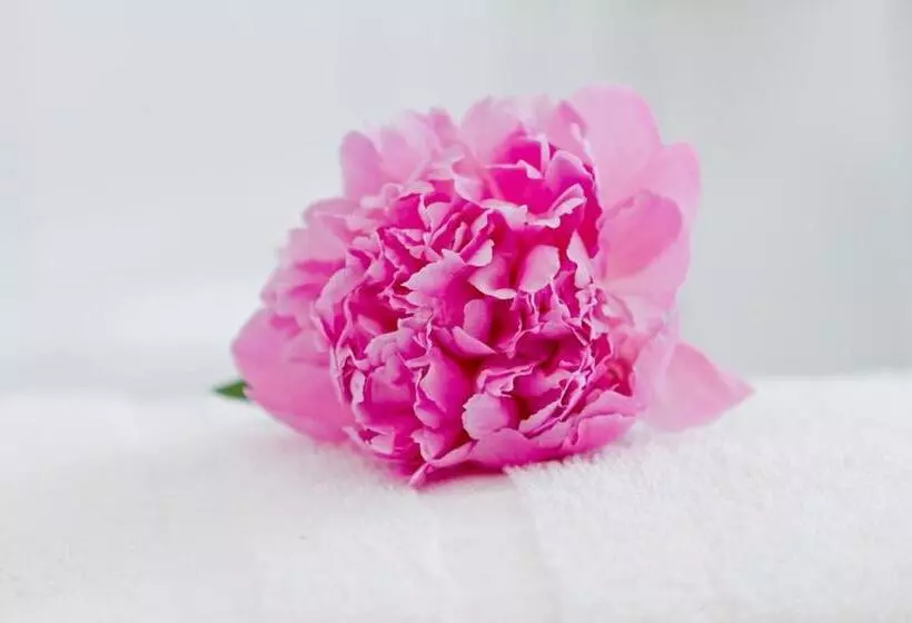 Hotel Zum Goldenen Löwen