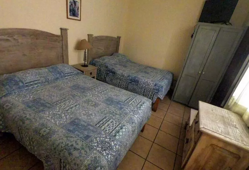 هتل Posada Del Carmen