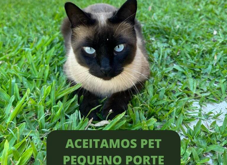 הוסטל Ancoradouro Pousada