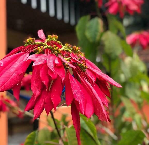 בית מלון כפרי Magia Da Montanha Vista Para O Rio