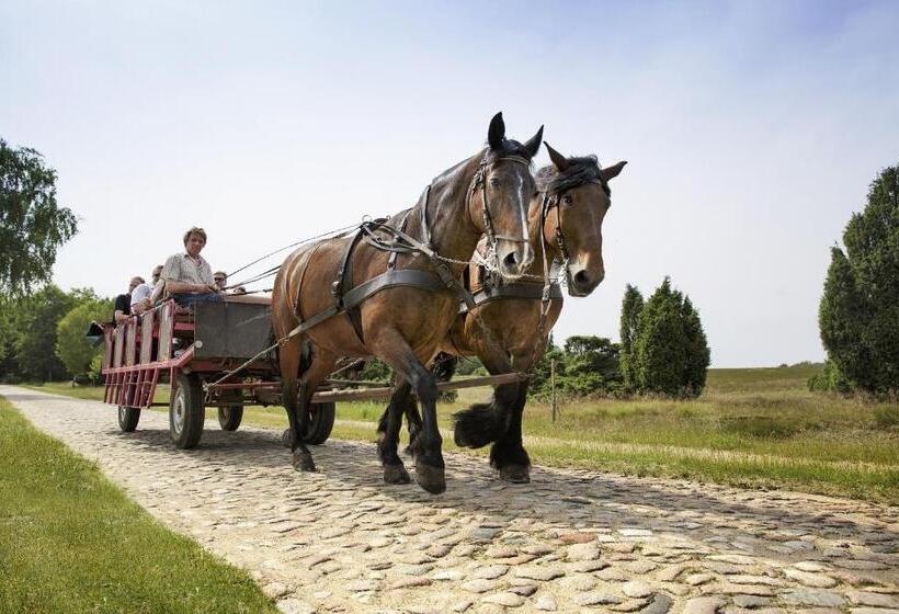 Отель Bispinger Heide By Center Parcs