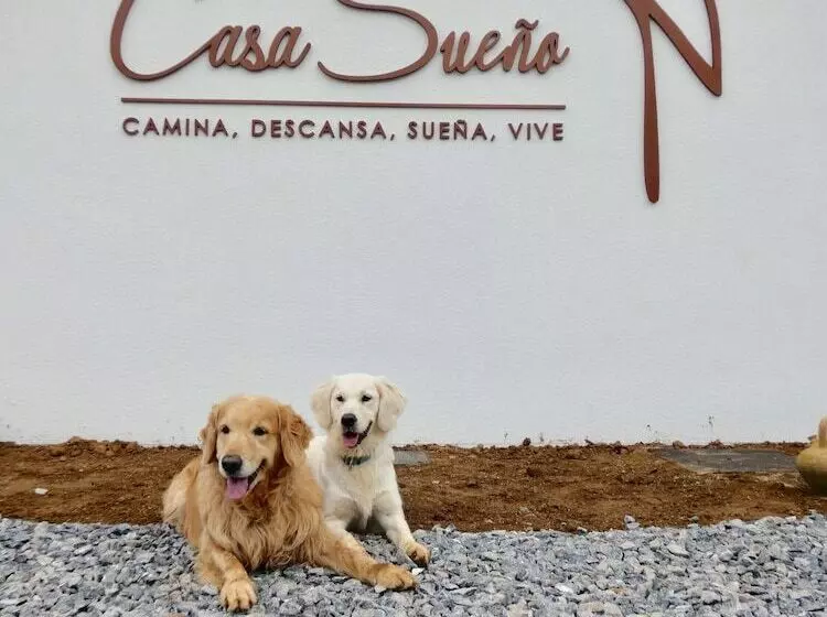 ホテル Casa Sueño